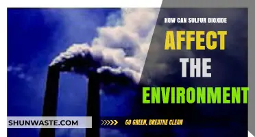 Sulfur Dioxide's Environmental Impact: Air, Water, and Ecosystem Effects
