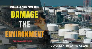 Sulfur Emissions from Fossil Fuels: Environmental Impacts and Solutions