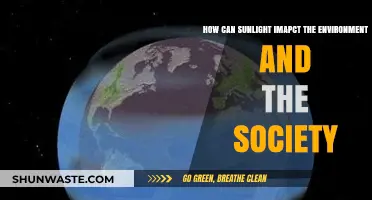 Sunlight's Dual Impact: Environmental Changes and Societal Shifts Explored