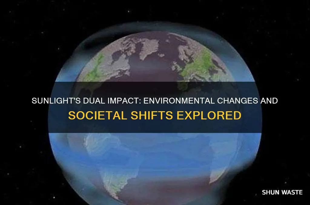 how can sunlight imapct the environment and the society
