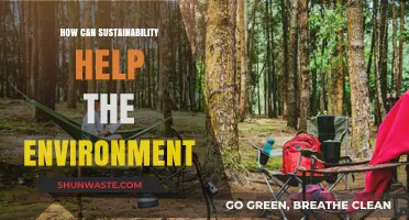 Sustainability's Impact: How Eco-Friendly Practices Save Our Environment