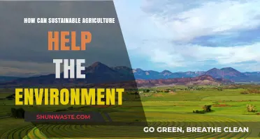Sustainable Agriculture: Nurturing the Planet for a Greener Future