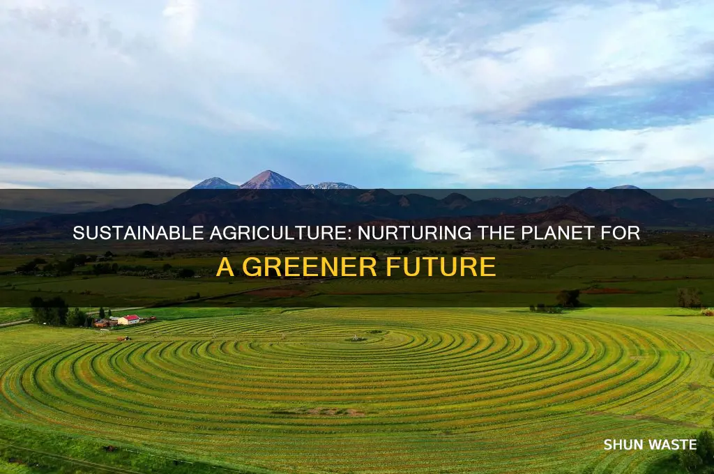 how can sustainable agriculture help the environment