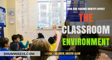 Teacher Identity’s Impact: Shaping Classroom Dynamics and Student Engagement