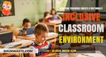Fostering Cultural Inclusion: Strategies for Teachers to Create Diverse Classrooms