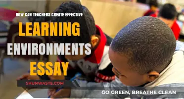 Crafting Engaging Classrooms: Strategies for Effective Learning Environments