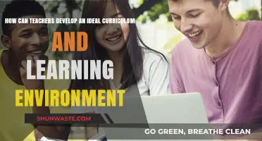 Crafting Excellence: Strategies for Curriculum Design and Classroom Engagement