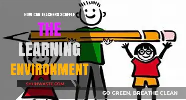 Effective Strategies for Teachers to Scaffold Learning Environments