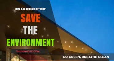 Innovative Tech Solutions: Revolutionizing Environmental Conservation Efforts