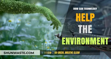Innovative Tech Solutions: Revolutionizing Environmental Sustainability and Conservation