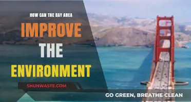Sustainable Solutions: Enhancing the Bay Area's Environmental Future