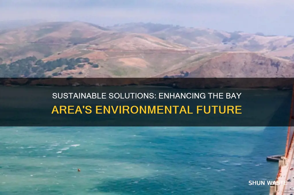 how can the bay area improve the environment