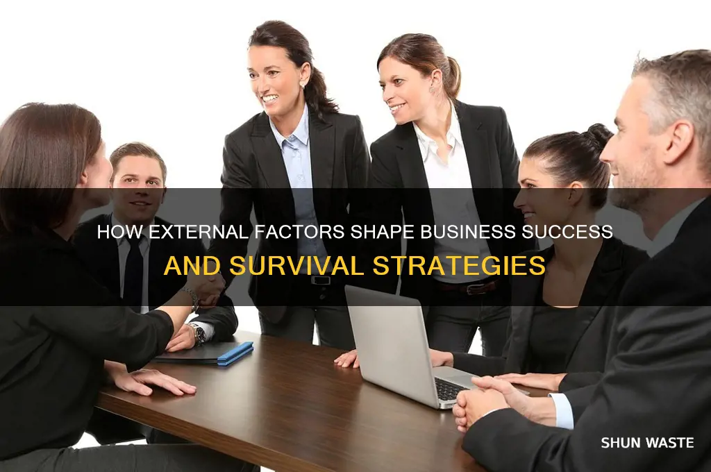how can the business environment affect a business