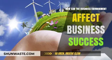 Navigating Business Success: The Impact of Environmental Factors