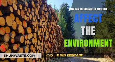 Material Shifts: Environmental Impacts and Sustainable Alternatives Explored
