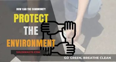 Community Action: Simple Steps to Safeguard Our Environment Together