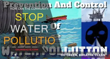 Community Action for Clean Water: Stopping Pollution Together