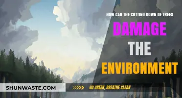 Deforestation's Devastating Impact: How Cutting Trees Harms Our Environment