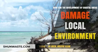 Coastal Development's Environmental Impact: Threats to Fragile Ecosystems Explained
