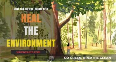 Healing the Planet: The Ecological Self's Role in Environmental Restoration