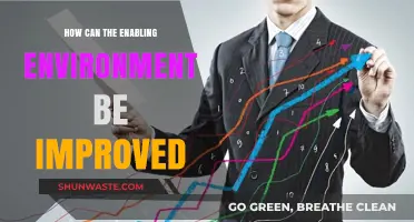 Enhancing the Enabling Environment: Strategies for Sustainable Growth and Development