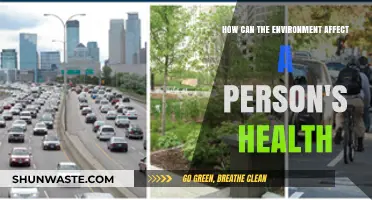 Environmental Factors and Their Impact on Personal Health and Well-being