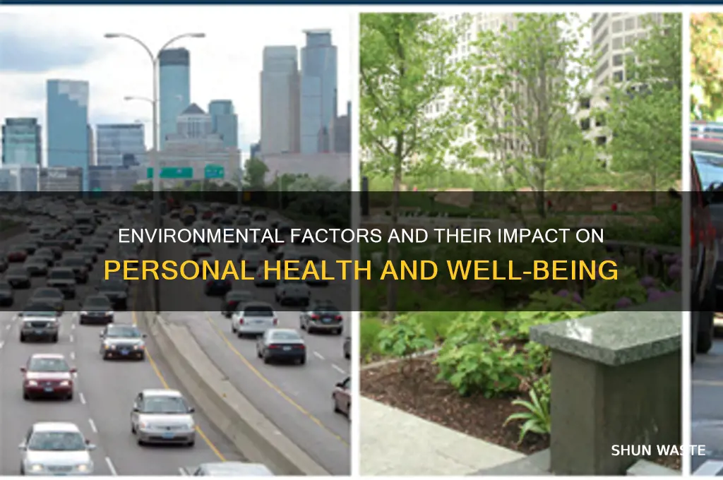 how can the environment affect a person