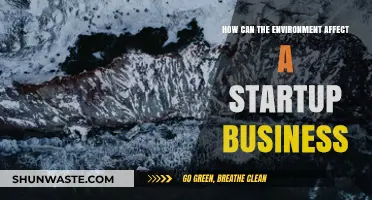 Environmental Factors Shaping Startup Success: Challenges and Opportunities