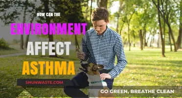 Environmental Triggers: How Surroundings Impact Asthma Symptoms and Management