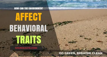 Environmental Influences on Behavior: Unraveling Nature's Impact on Personality Traits
