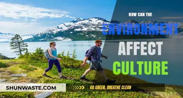 Environmental Influences: Shaping Cultural Practices and Societal Norms