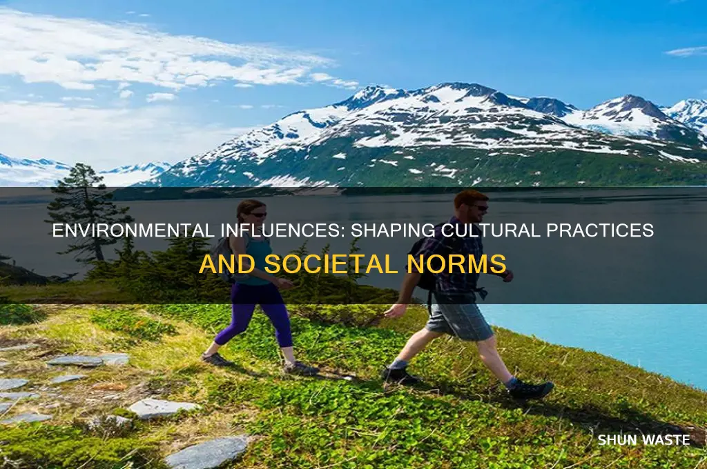 how can the environment affect culture