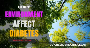Environmental Factors and Diabetes: Uncovering the Hidden Connections and Risks