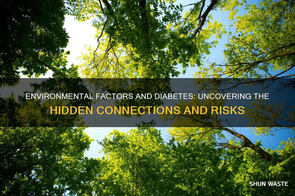 how can the environment affect diabetes