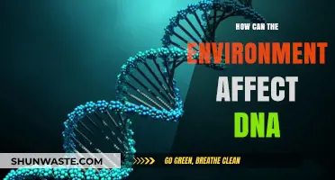 Environmental Influences on DNA: Unraveling Nature's Impact on Genetic Code