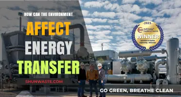 Environmental Factors Shaping Energy Transfer: Impacts and Adaptations