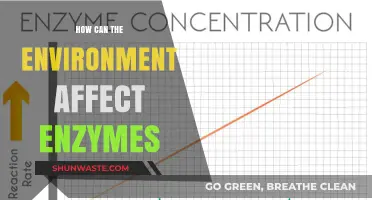 Environmental Factors: How Temperature, pH, and Pressure Influence Enzyme Activity