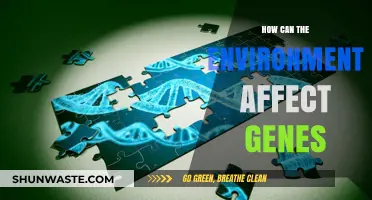 Environmental Influences on Genes: Unraveling Nature's Impact on Our DNA