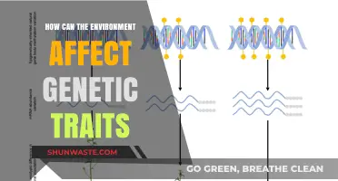 Environmental Influences on Genetic Traits: Unraveling Nature's Complex Interplay