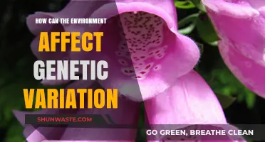 Environmental Influences on Genetic Diversity: Unraveling Nature's Impact on Evolution