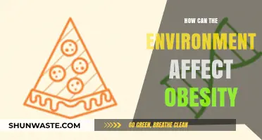 Environmental Factors Shaping Obesity: Uncovering Hidden Links to Weight Gain