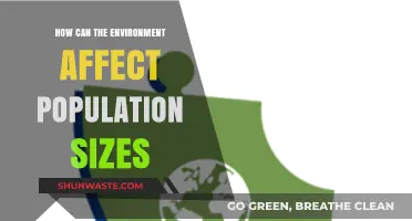 Environmental Factors Shaping Population Dynamics: Causes and Consequences