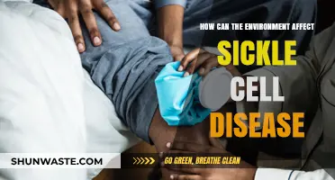Environmental Triggers: How Surroundings Impact Sickle Cell Disease Symptoms