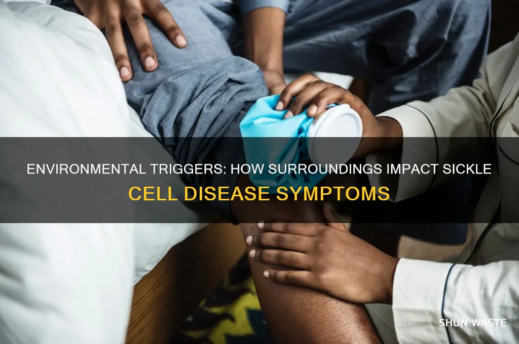 how can the environment affect sickle cell disease
