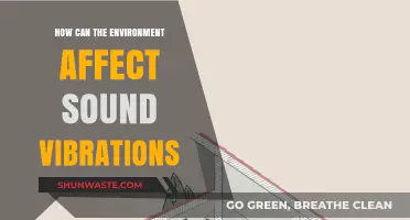 Environmental Factors Shaping Sound Vibrations: A Comprehensive Exploration