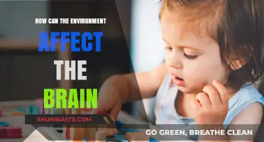 Environmental Influences on Brain Health: Uncovering Nature's Impact on Cognition