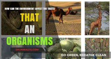 Environmental Influences on Organism Traits: Unraveling Nature's Shaping Power