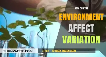 Environmental Influences: Unraveling Nature's Impact on Genetic Variation