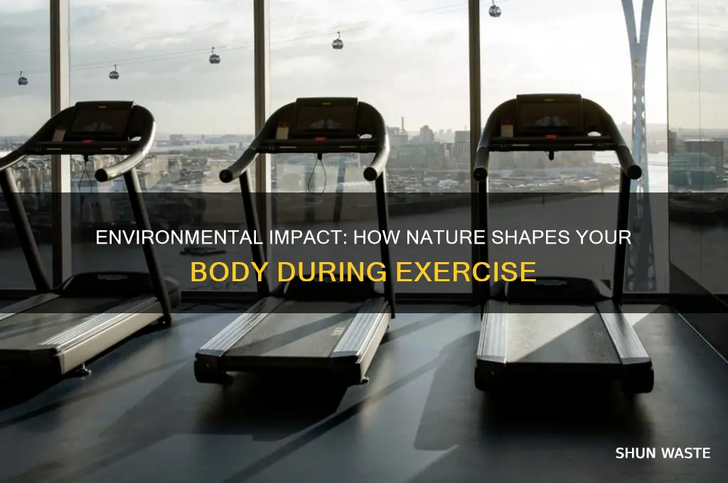 how can the environment affect your body during physical activity