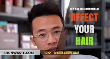 Environmental Factors and Their Impact on Hair Health and Growth